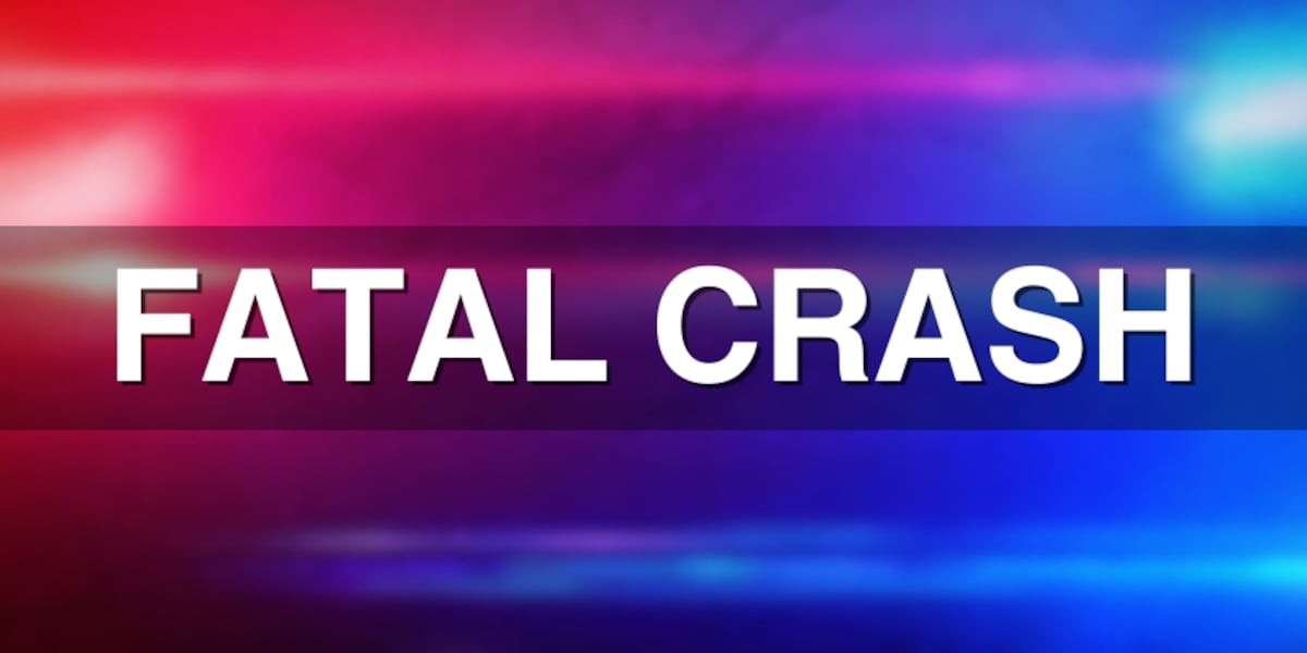 Person hit, killed while walking on interstate, troopers say