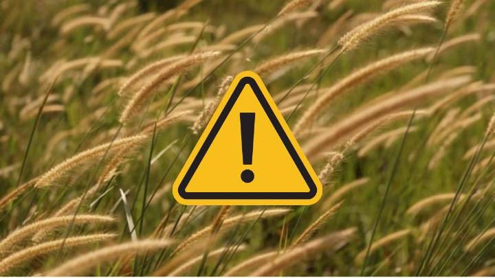 Alerta amarilla: vientos de hasta 90 km/h llegan al país este jueves 16 de octubre