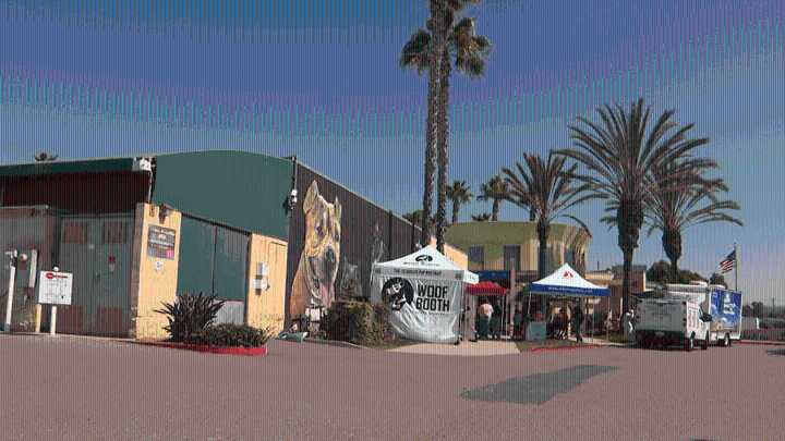 Chula Vista hosts pet adoption open house event