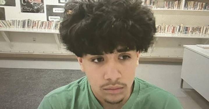 Two teen boys charged in homeless woman's slaying in Española
