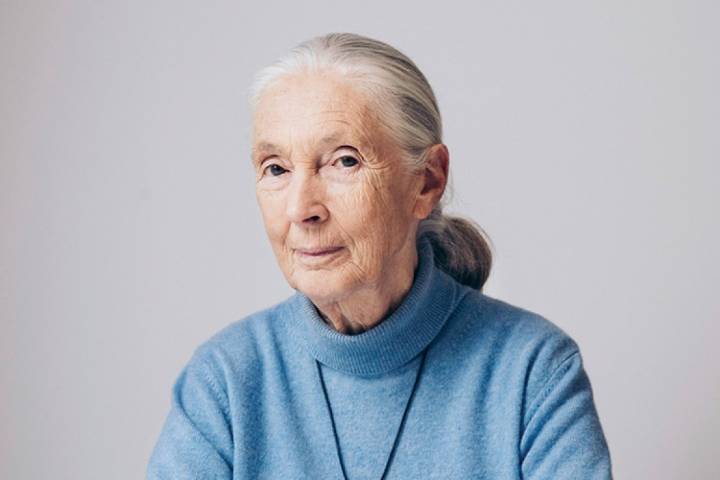 Jane Goodall, 1934