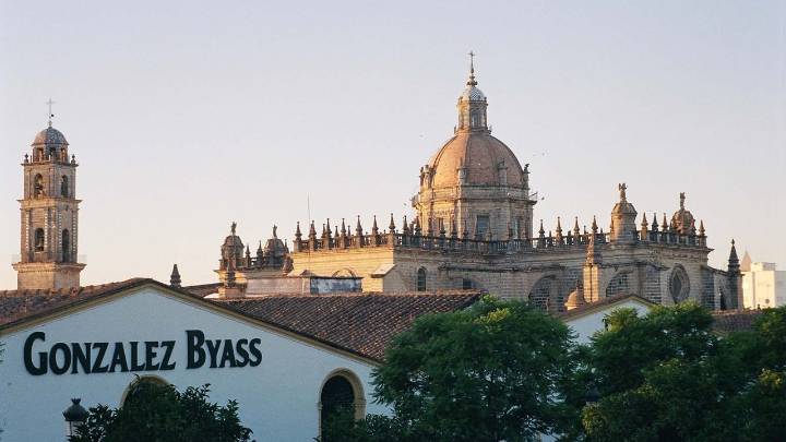 González Byass (Tío Pepe) anuncia despidos para adaptarse a "la realidad del mercado"