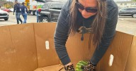 La administración Trump no usará fondo de contingencia para mantener la ayuda alimentaria SNAP