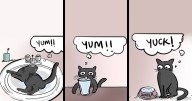 27 Relatable Comics By This Artist From India
