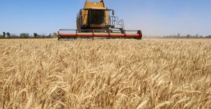 The world is producing more food crops than ever before