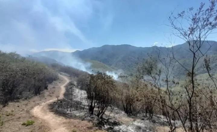 Fuego en Salta | Un incendio forestal afectó el Cerro Elefante en San Lorenzo