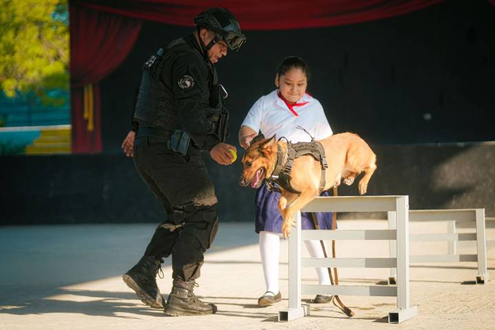 Previenen contra drogas y exhiben K9 en Santa Catarina