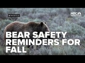 Fall brings bear safety reminders, relocation changes