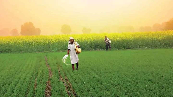 Big relief for farmers: Rs 37,952 cr fertiliser subsidy announced