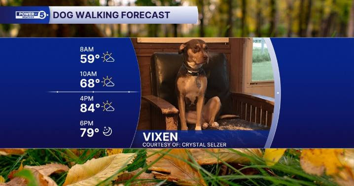 Hot, hot, hot! Stay cool walking your puppers this weekend