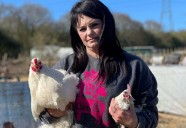More than 60 birds culled at Happy Pants Ranch animal sanctuary near Sittingbourne, after avian flu confirmed