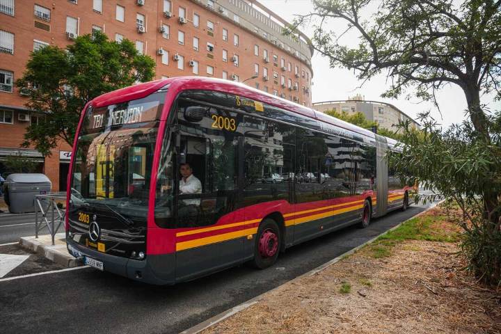 El Ayuntamiento niega "colapso" del tranvibús, con 5.000 usuarios diarios