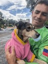 Más de 450 mascotas dadas en adopción en 31 jornadas binacionales