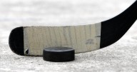 Players, coaches from Stoney Creek hockey team sanctioned