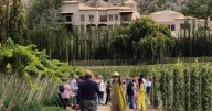 Vinos de altura de Maimará protagonistas en una muestra