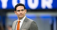 Former USC star Mark Sanchez accused of attacking truck driver before he was stabbed