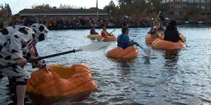 West Coast Giant Pumpkin Regatta brings hundreds to Tualatin