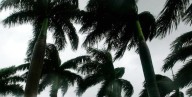 Se forma la tormenta tropical Tormenta Tropical Melissa en el Caribe y podría convertirse en huracán