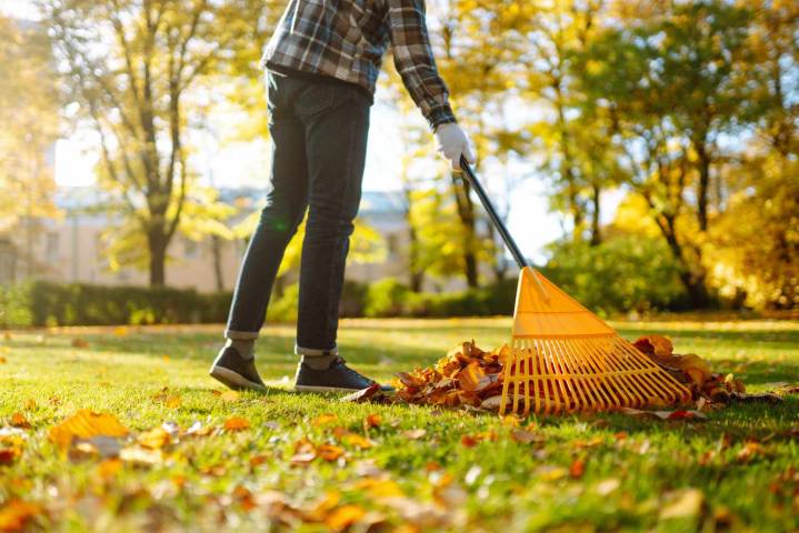 Why Lawn Pros Swear October Is the Secret to a Greener Yard by Spring