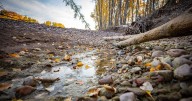 ‘Dead, dry rivers’: Lawsuit says state isn’t managing rivers for the benefit of all