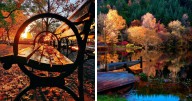 52 Captivating Photos Of Autumn Leaf Colors And Fall Foliage From Around The World