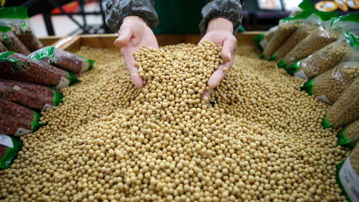 China agreed to purchase 25 million metric tons soybeans annually, says US