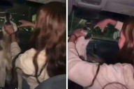 Expulsan a alumna que grabó mαI†rα†ø animal