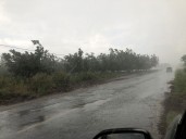Emite CEPC recomendaciones ante pronóstico de descenso de temperatura, lluvias y vientos fuertes en Chihuahua