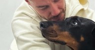 Scott Thomas 'miracle' update after dog suffered 'very stressful' health episode