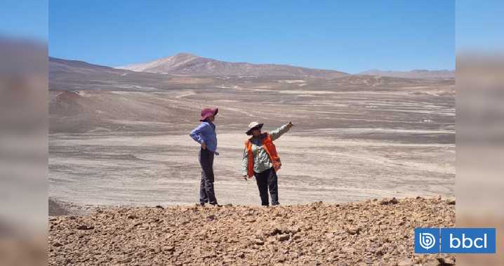 Canadiense Capstone Copper firma acuerdo para futura compra de concesiones mineras de Enami