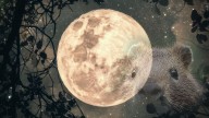 Luna del Castor 2025: ¿Cuándo y a qué hora ver el evento astronómico en México?