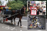 NYCLASS spends millions to ban horse carriages in NYC
