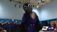 Purple Friday in full swing ahead of home game