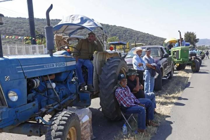 MOVIMIENTO campesino acusa “simulación” en acuerdo sobre maíz del gobierno