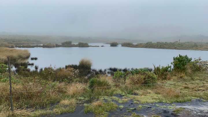 CAR recupera predio de alto valor ambiental en zona rural de Bogotá