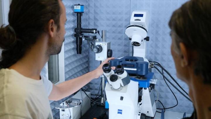 España es el país que más ha incrementado el número de patentes procedentes de la investigación pública