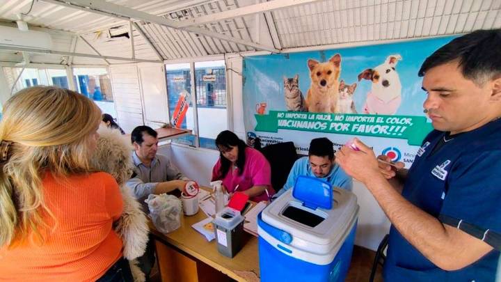 Fernández tuvo una jornada de vacunación antirrábica y desparasitación para mascotas