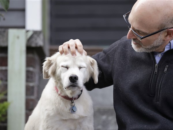 Ask the Vet: Passing scabies from human to pet