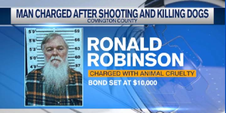Okatoma Canoe Rental owner facing charges after allegedly shooting neighbor’s dogs