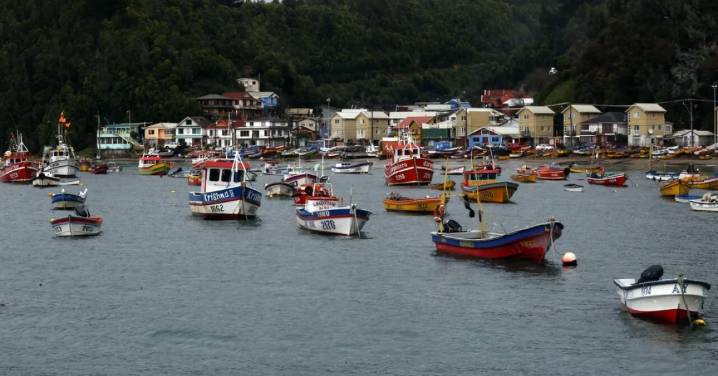Nuevas pesquerías a más de 5.000 embarcaciones: Gobierno acoge solicitud de la pesca artesanal