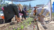 SEDIF destina cien mil pesos para poner en marcha un huerto que beneficiará a 15 familias de Nopalucan