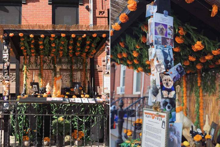 Woman's Día de Muertos Ofrenda for Beloved Dog Gets Major Response from Neighborhood (Exclusive)