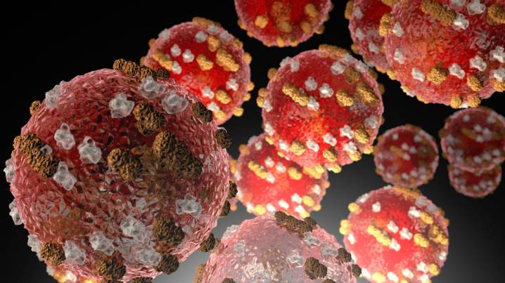 Measles cases concentrated in Spartanburg County, one child in Greenville