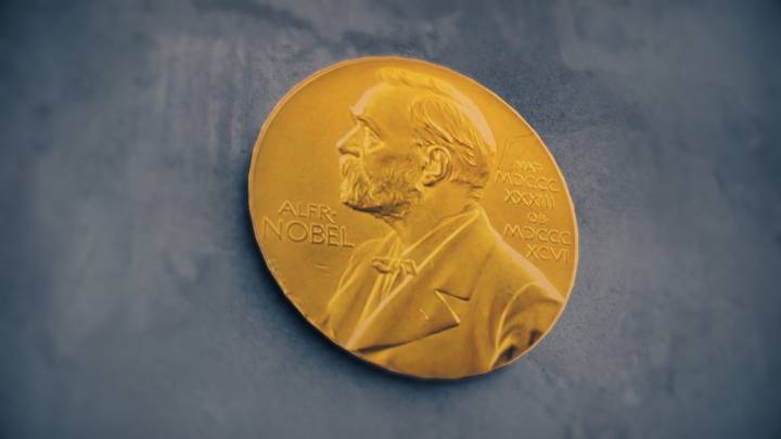 Brunkow, Ramsdell, and Sakaguchi awarded 2025 medicine Nobel