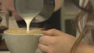 Coffee prices continue to climb, putting pressure on local shops