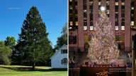 Rockefeller Center reveals 2025 Christmas tree from family in East Greenbush, New York