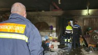 Pone agua a hervir para pelar dos pollos y se le acaba quemando su galpón en Caldas