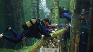 La Virgen del Pilar recibe sus primeros ramos en la ofrenda del Acuario de Zaragoza