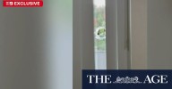 Man accused of firing arrow into neighbour’s window fails to show up in court