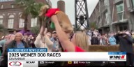 Oso claims victory at 2025 Weiner Dog Races